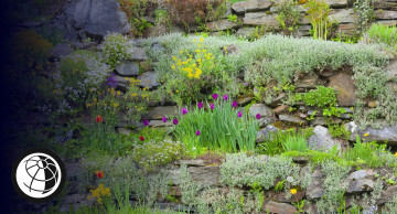 Как красиво обустроить огород своими руками: 7 советов ландшафтного дизайнера