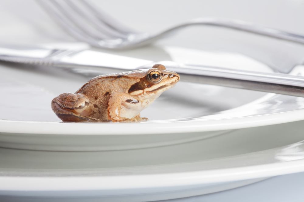 Попробуем французскую кухню: метод «Съесть лягушку»